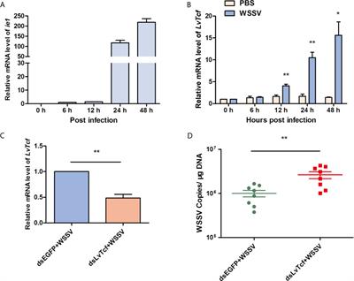 Phosphorylation of Shrimp Tcf by a Viral Protein Kinase WSV083 Suppresses Its <mark class="highlighted">Antiviral Effect</mark>